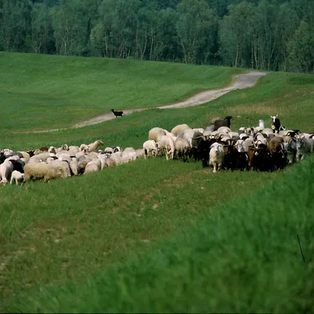 Hotel Tessarin Taglio di Po